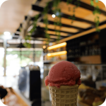 Ofrece excursiones (11)