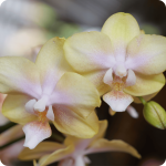 Productores Sobre nosotr@s Excursiones Noticias Activitividades Participar (26)