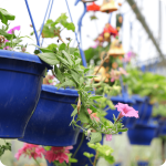 Productores Sobre nosotr@s Excursiones Noticias Activitividades Participar (27)