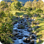 Ofrece excursiones (43)